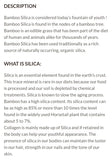 Alora Naturals Bamboo Silica 100mg 90caps