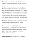 Bach Rescue Remedy Pet