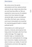 CanPrev Antioxidant Network