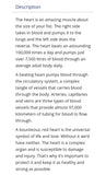 CanPrev Healthy Heart