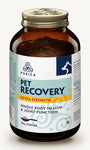 Purica Recovery Extra Strength