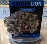 Nature Lion Blue Oyster Mushroom Grow Kit