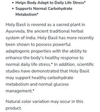 Now Holy Basil 500mg 2% Std 90vcap