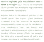 Nutripure Kelp plus 60vcap
