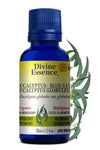 Divine Essence Eucayptus Blue Gum 30ml