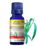 Divine Essence Lemongrass 15ml