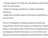 St Francis Echinacea 50ml
