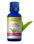 Divine Essence Organic Tee Tree Oil