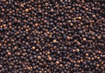 Black Peppercorns