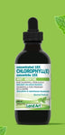 Chlorophyll concentrate 15x