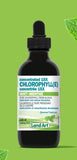 Chlorophyll concentrate 15x