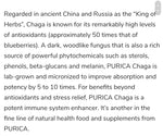 Purica Chaga Micronized Mushrooms 120 veggie caps