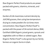 Garden of Life Raw Organic Perfect Food Original 30 servings