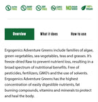 Ergogenics Adventure Greens Powder 420g